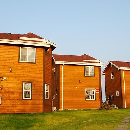 Sweetsalt Villa Seogwipo-stad Buitenkant foto